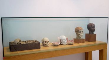 National Anthropological Museum, Sofia