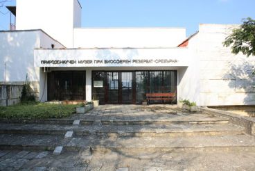 Музей естественной истории, Сребырна