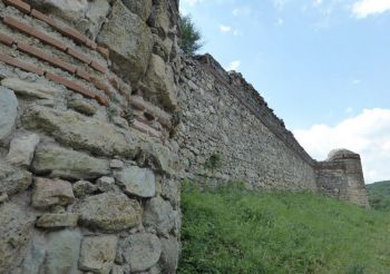 Fortress Neutzikon, Mezek