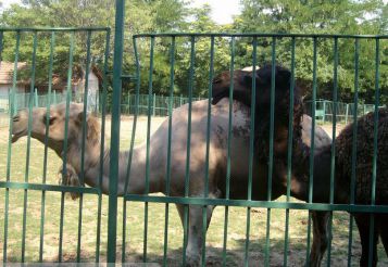 Zoo Lovech