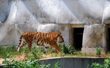 Zoo, Sofia
