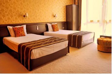 Executive Double or Twin Room with Free Parking